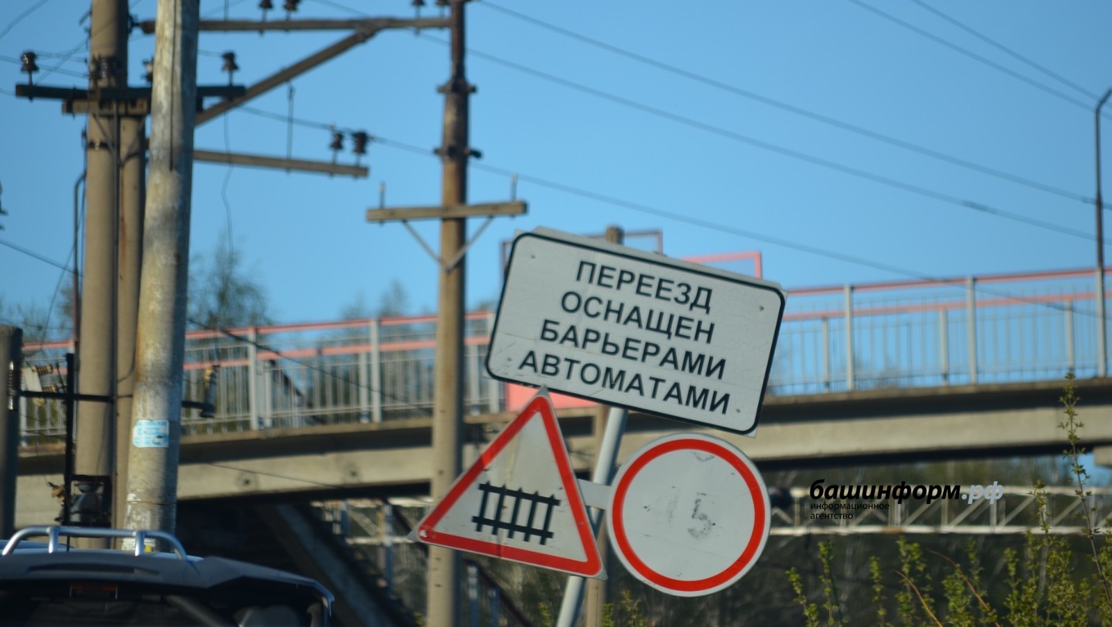 Ксения Калинина