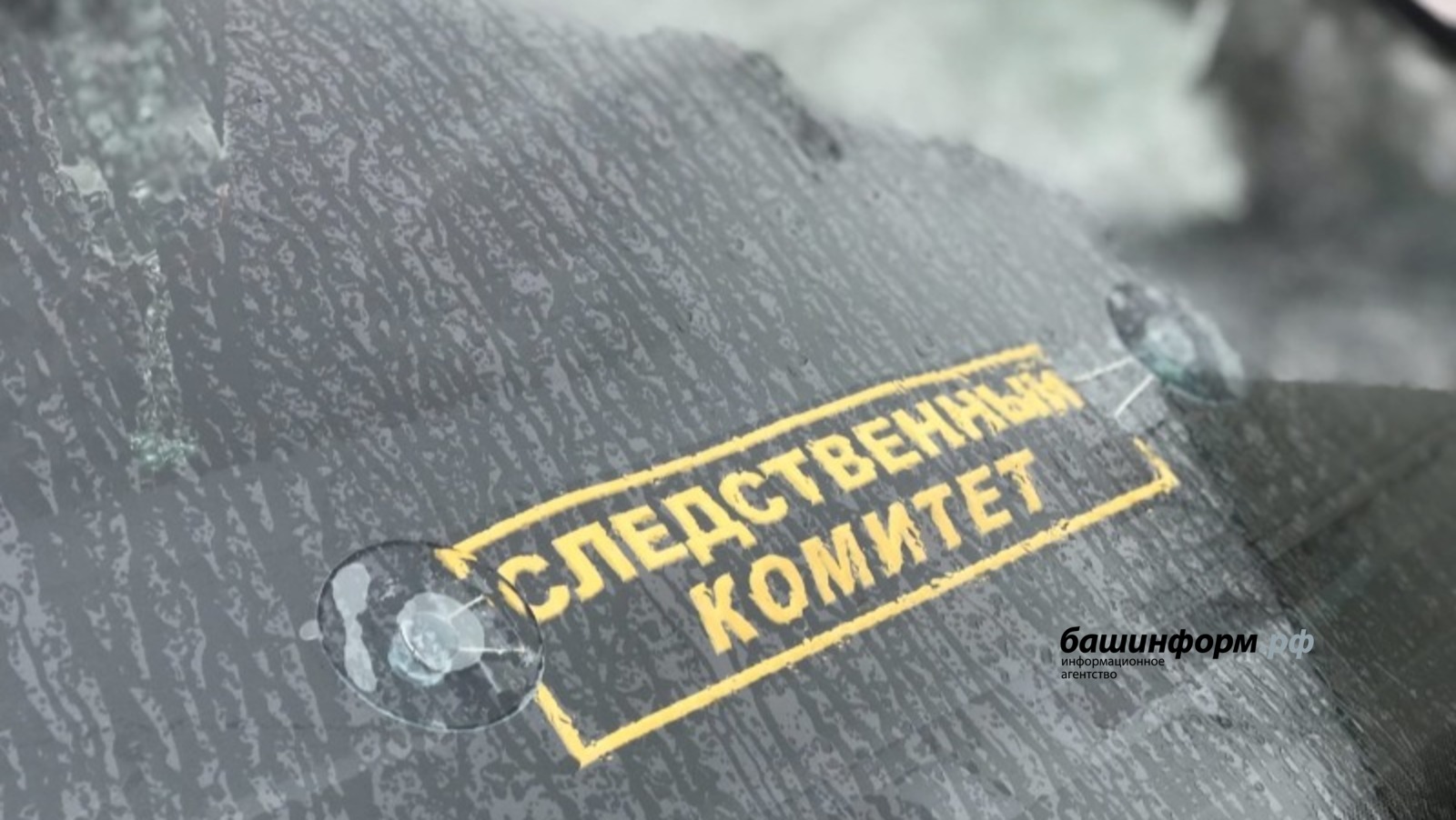 Ксения Калинина