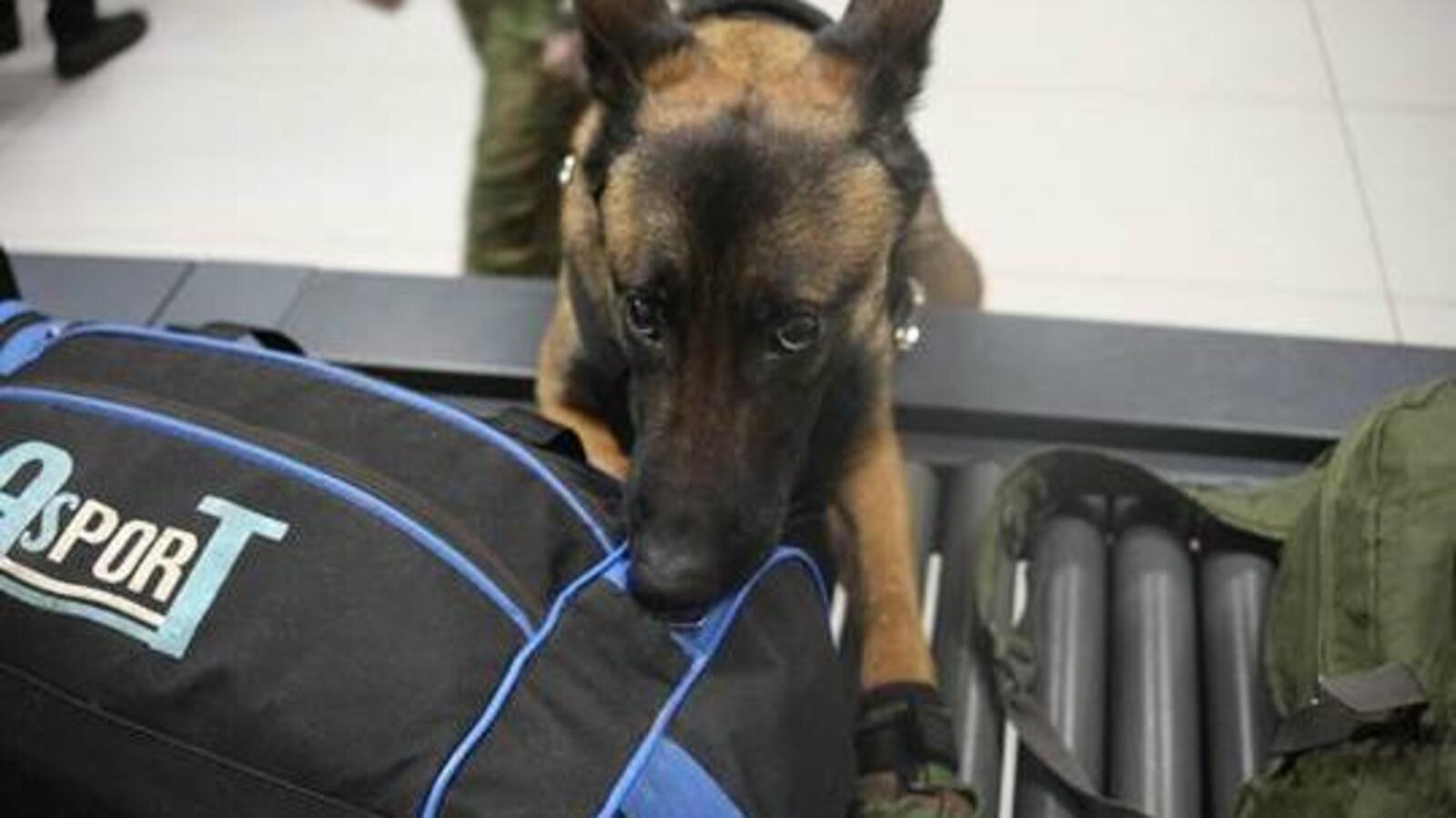 Башкортостанская таможня