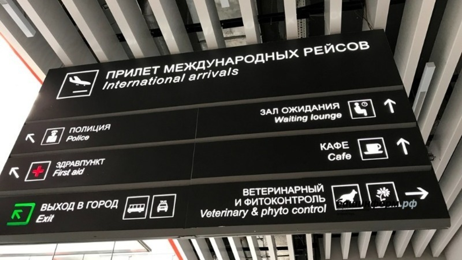 Ксения Калинина