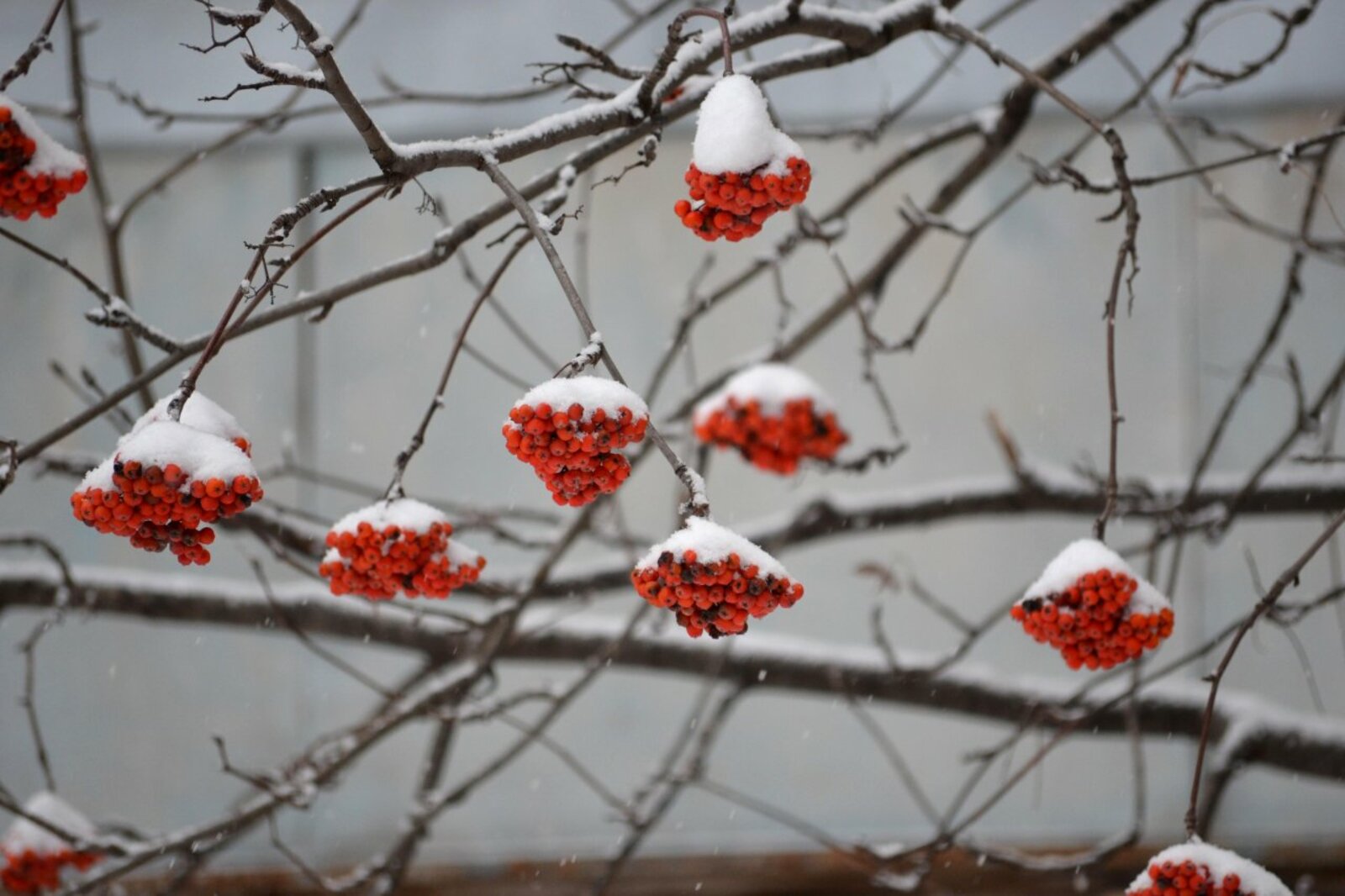 Ксения Калинина