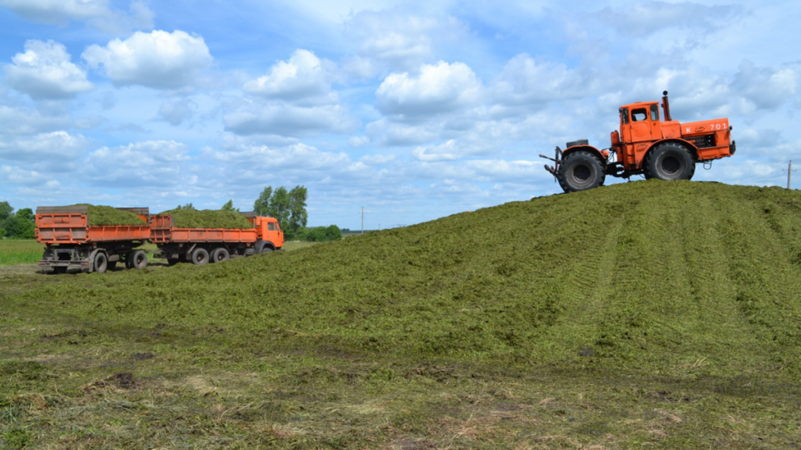 Минсельхоз РБ