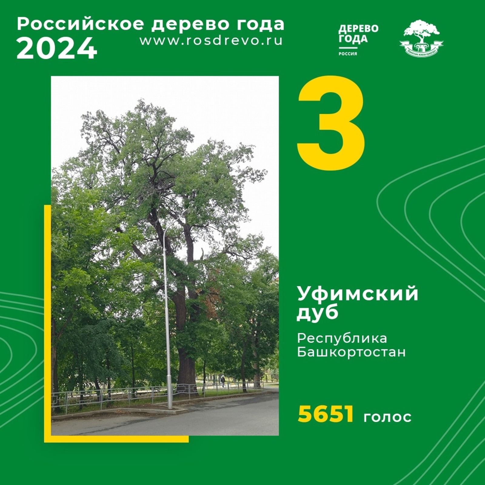https://rosdrevo.ru/