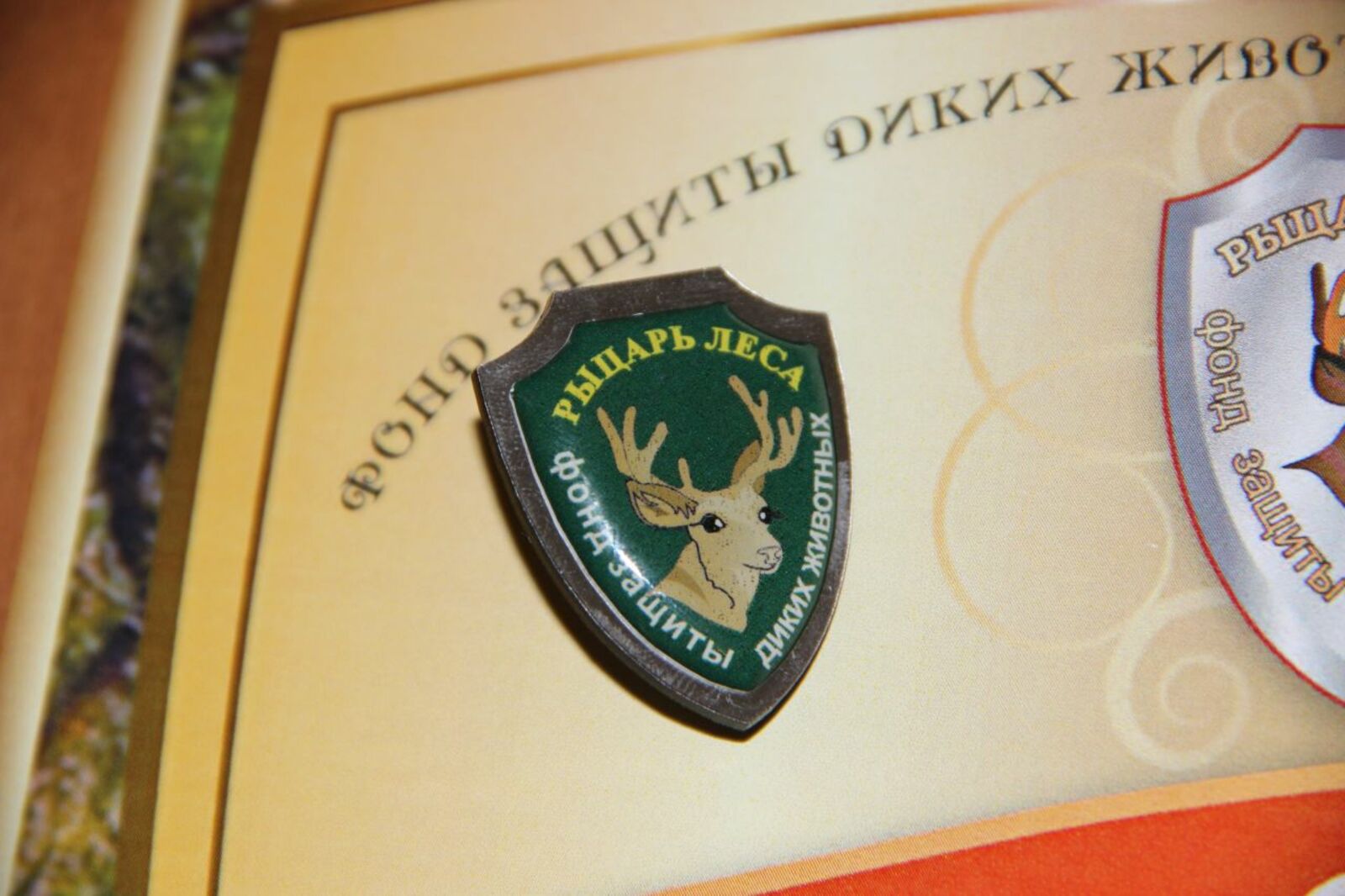 Гульфия Акулова