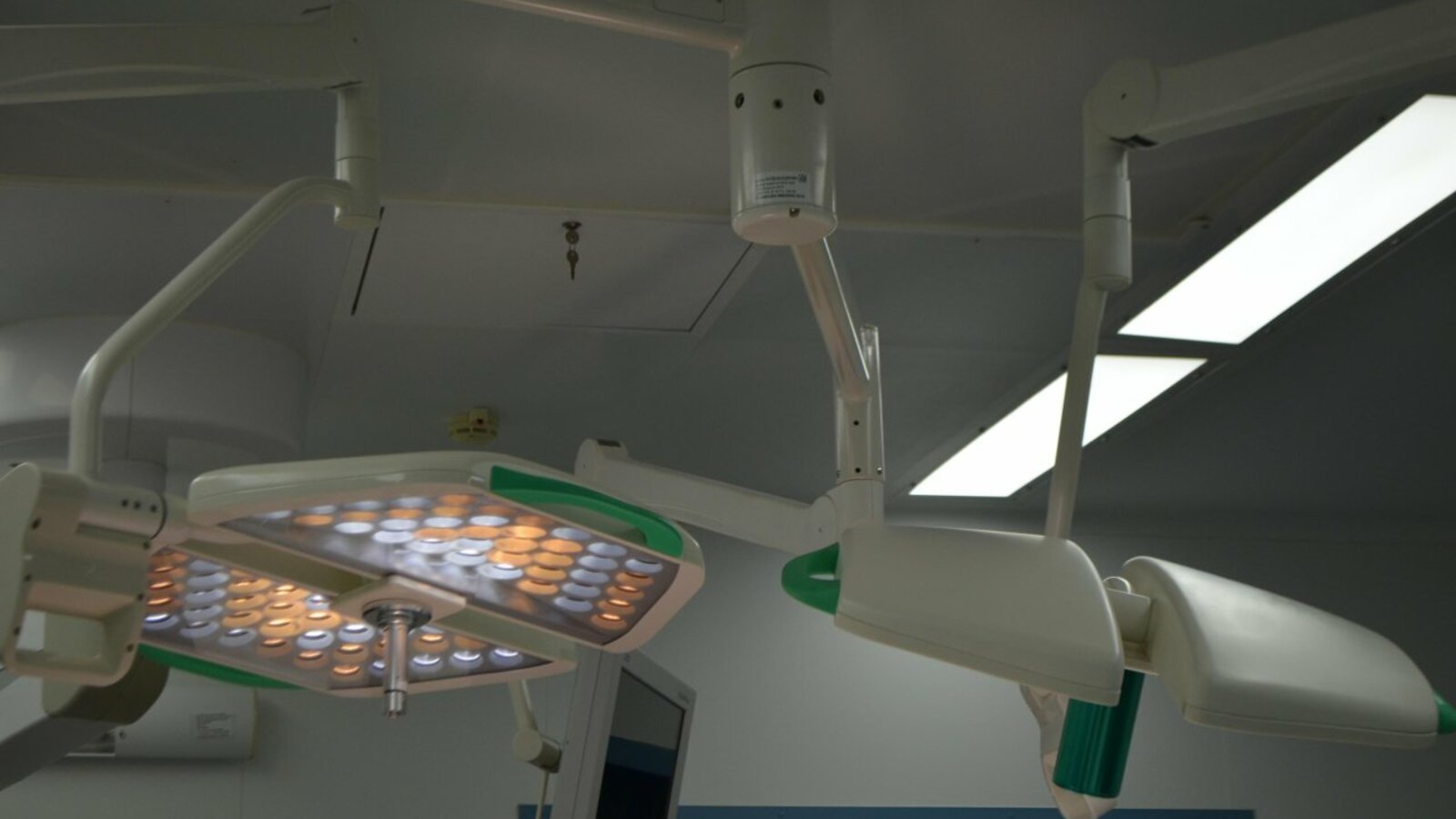 Ксения Калинина