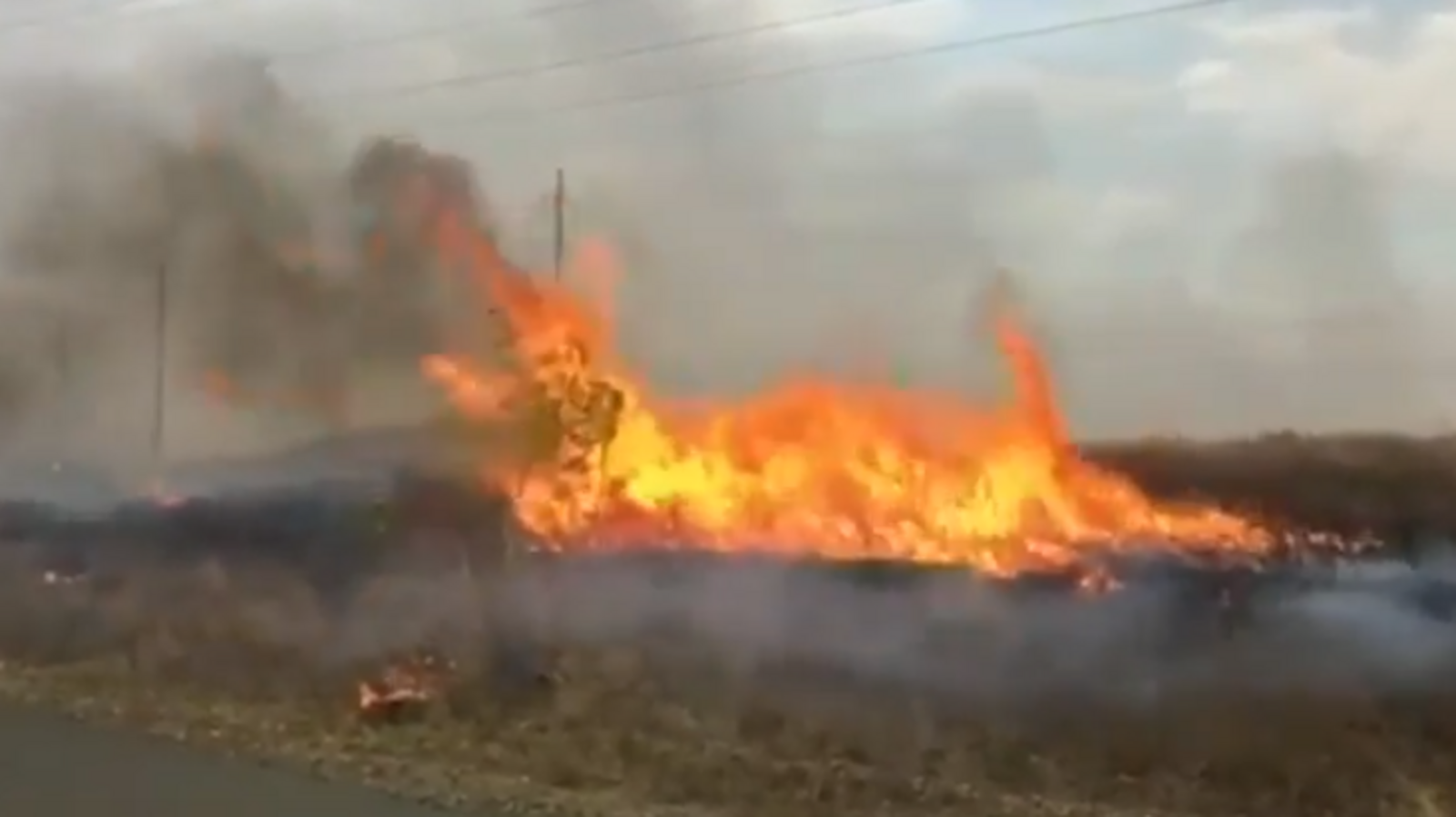 скриншот видео