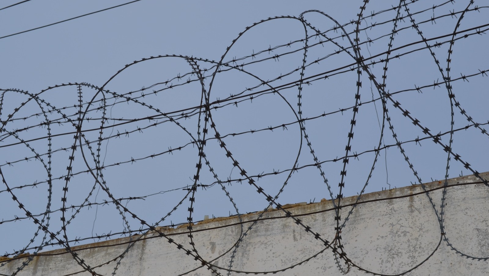 Ксения Калинина