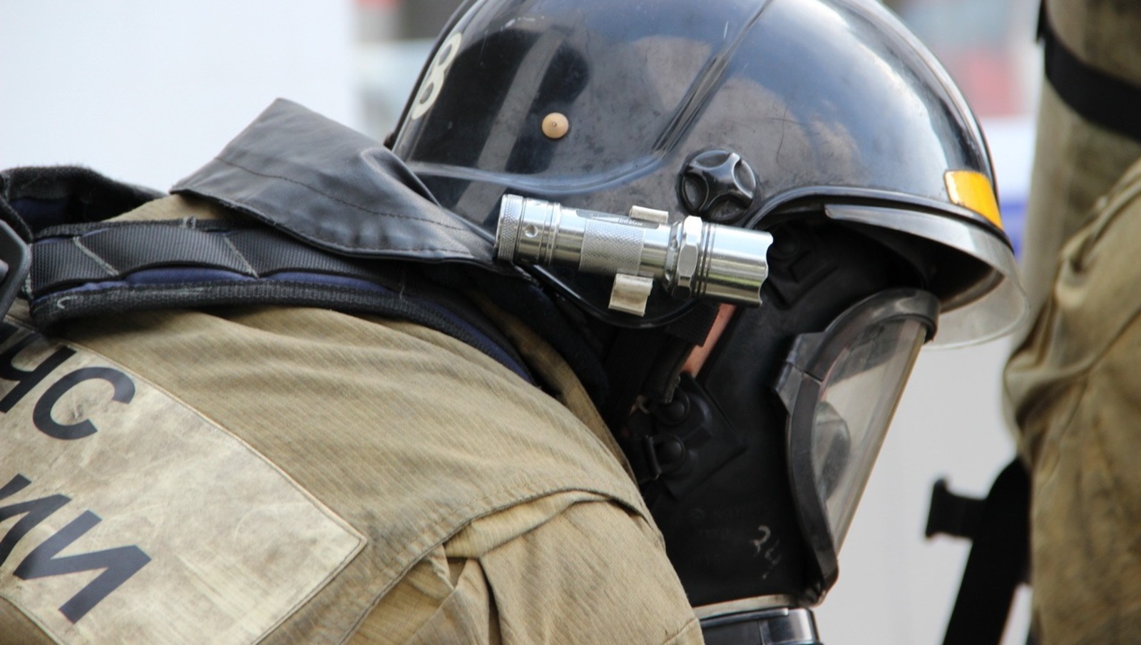 Ксения Калинина