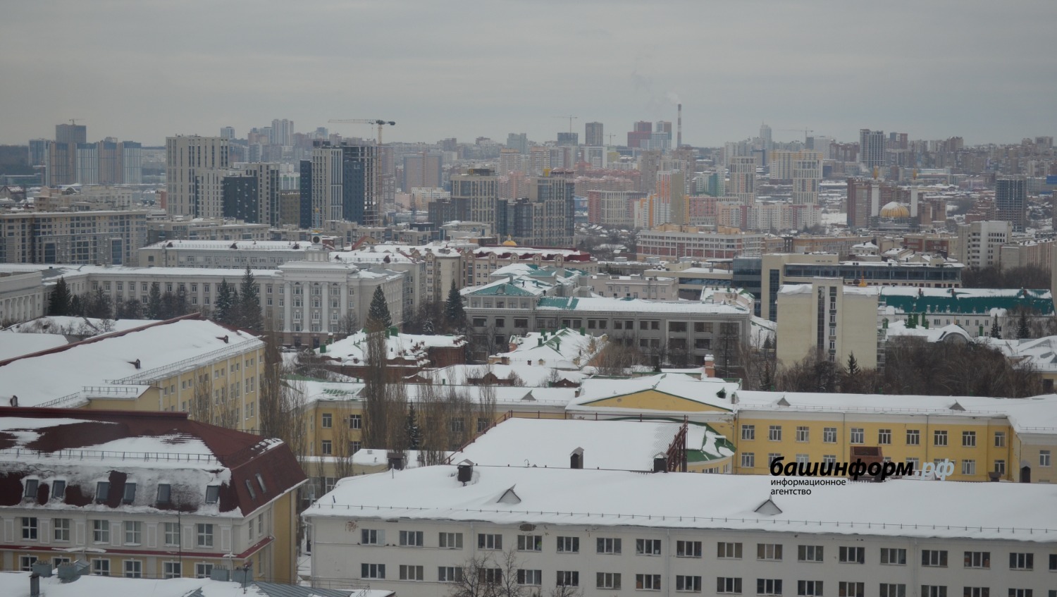 Ксения Калинина