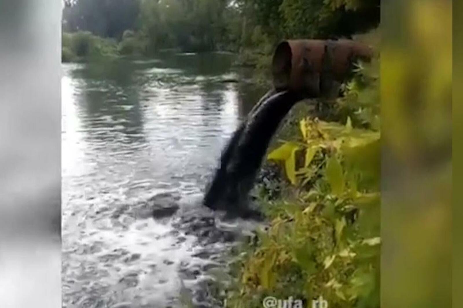 скриншот видео