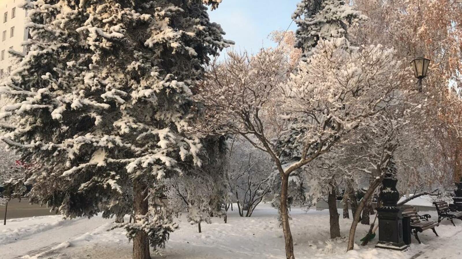 Ксения Калинина