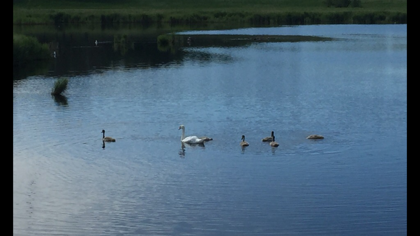 Минэкологии РБ