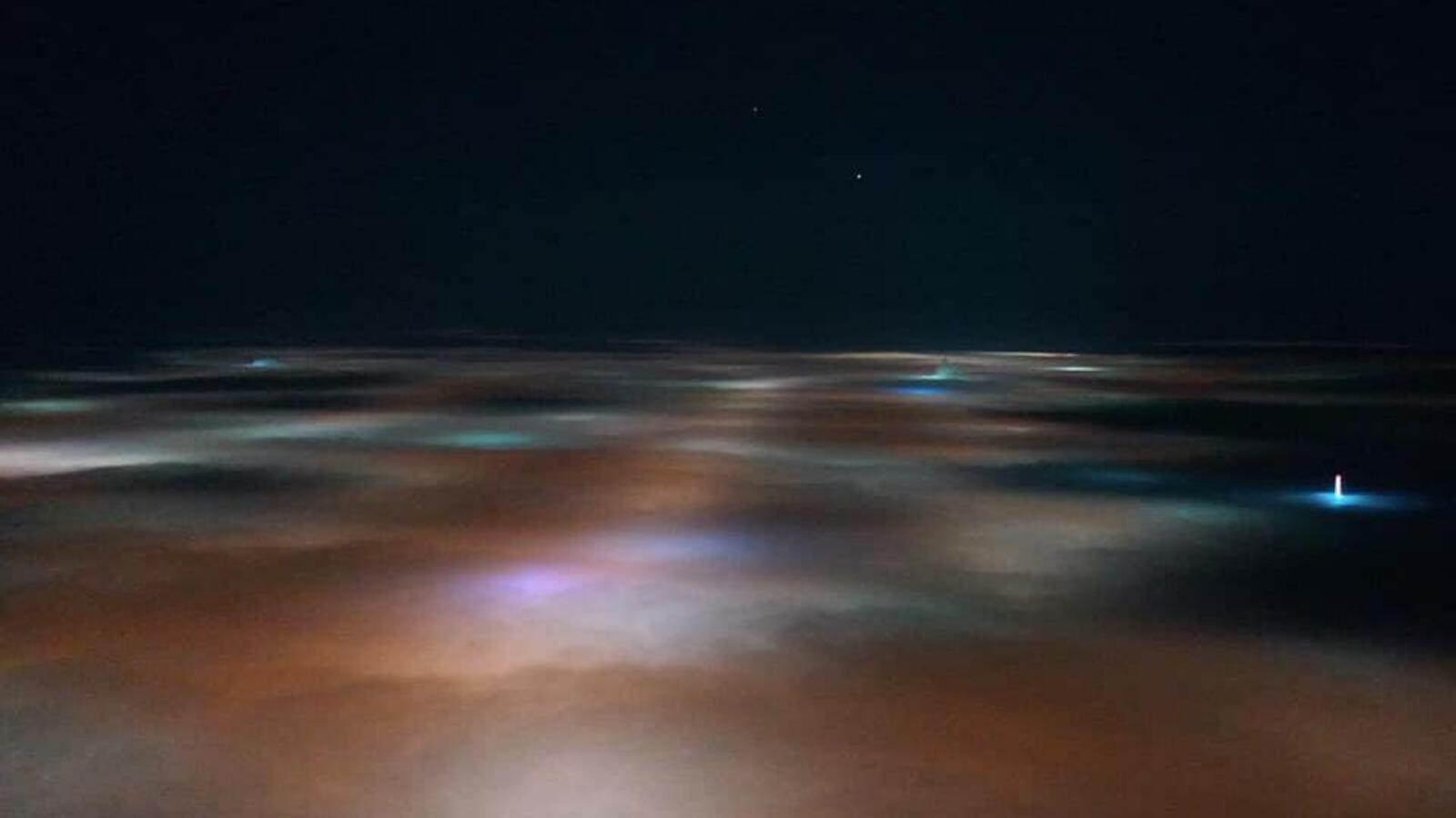 Максим Никерин