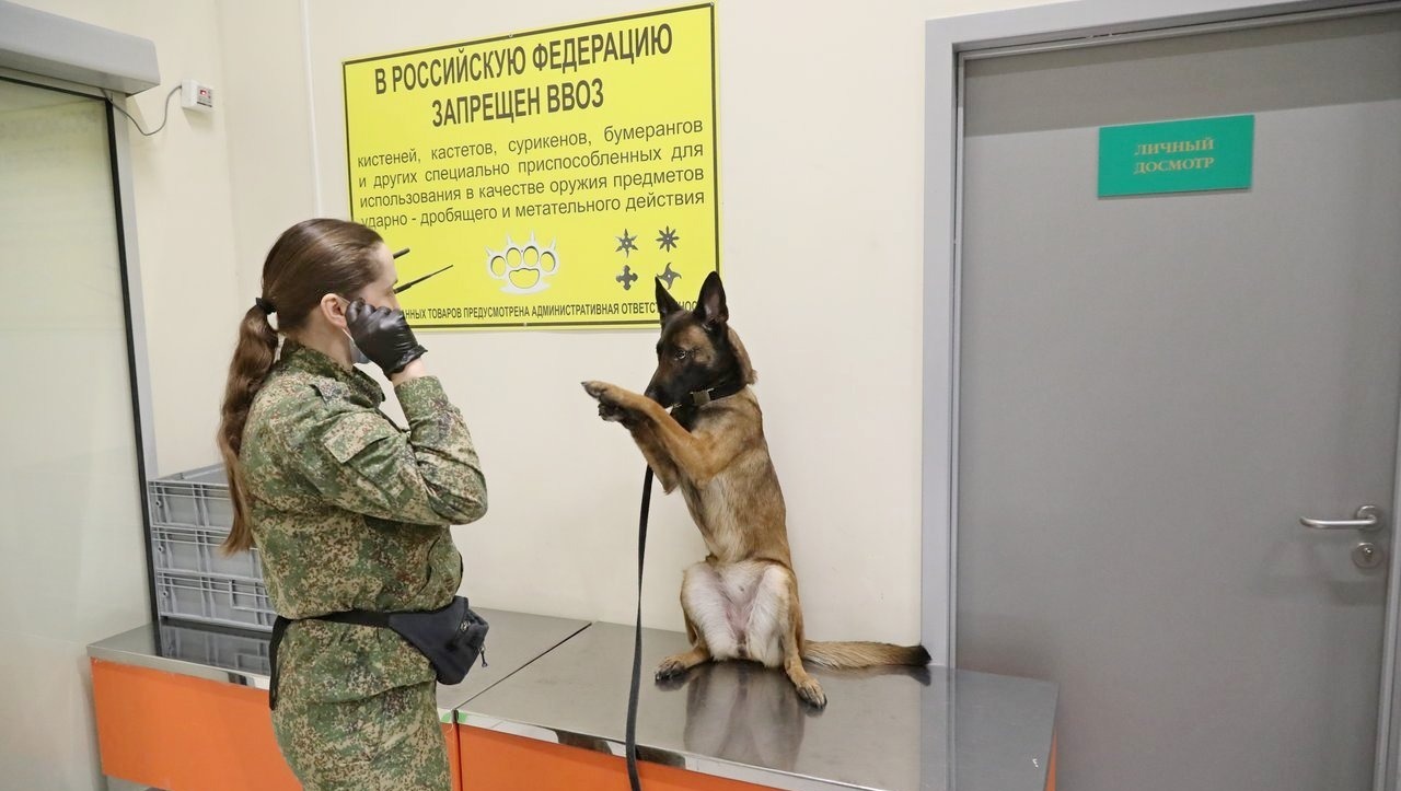 Валерий Шахов