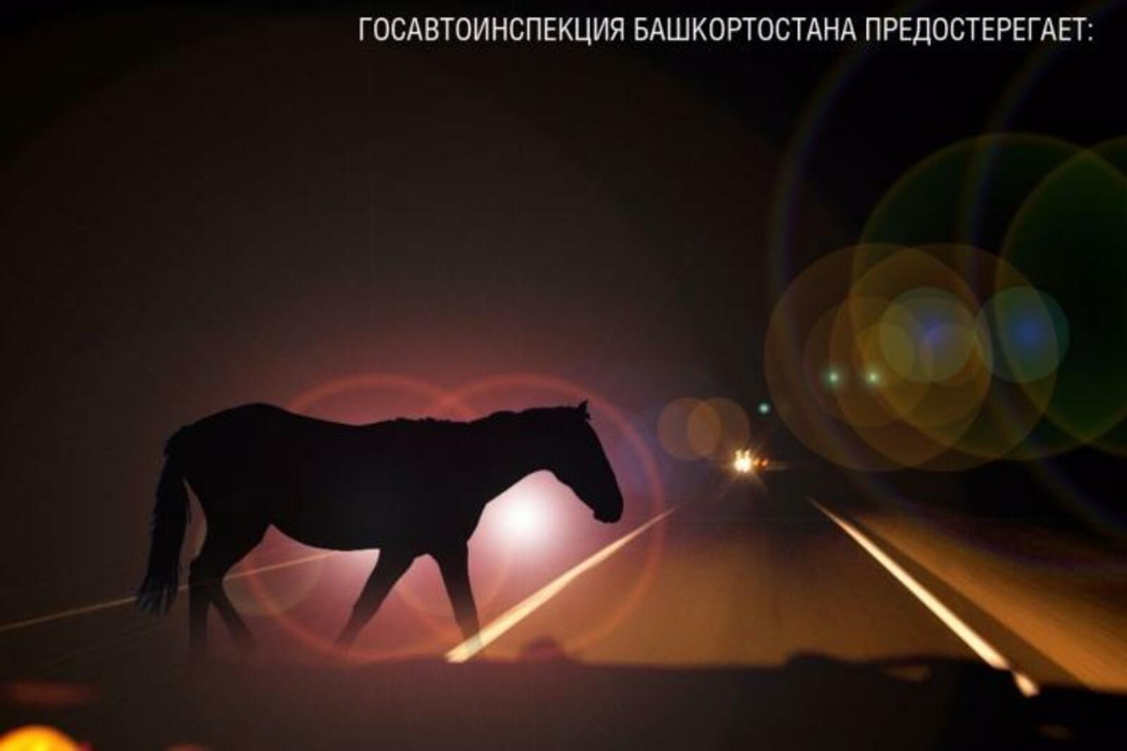 ГИБДД по РБ