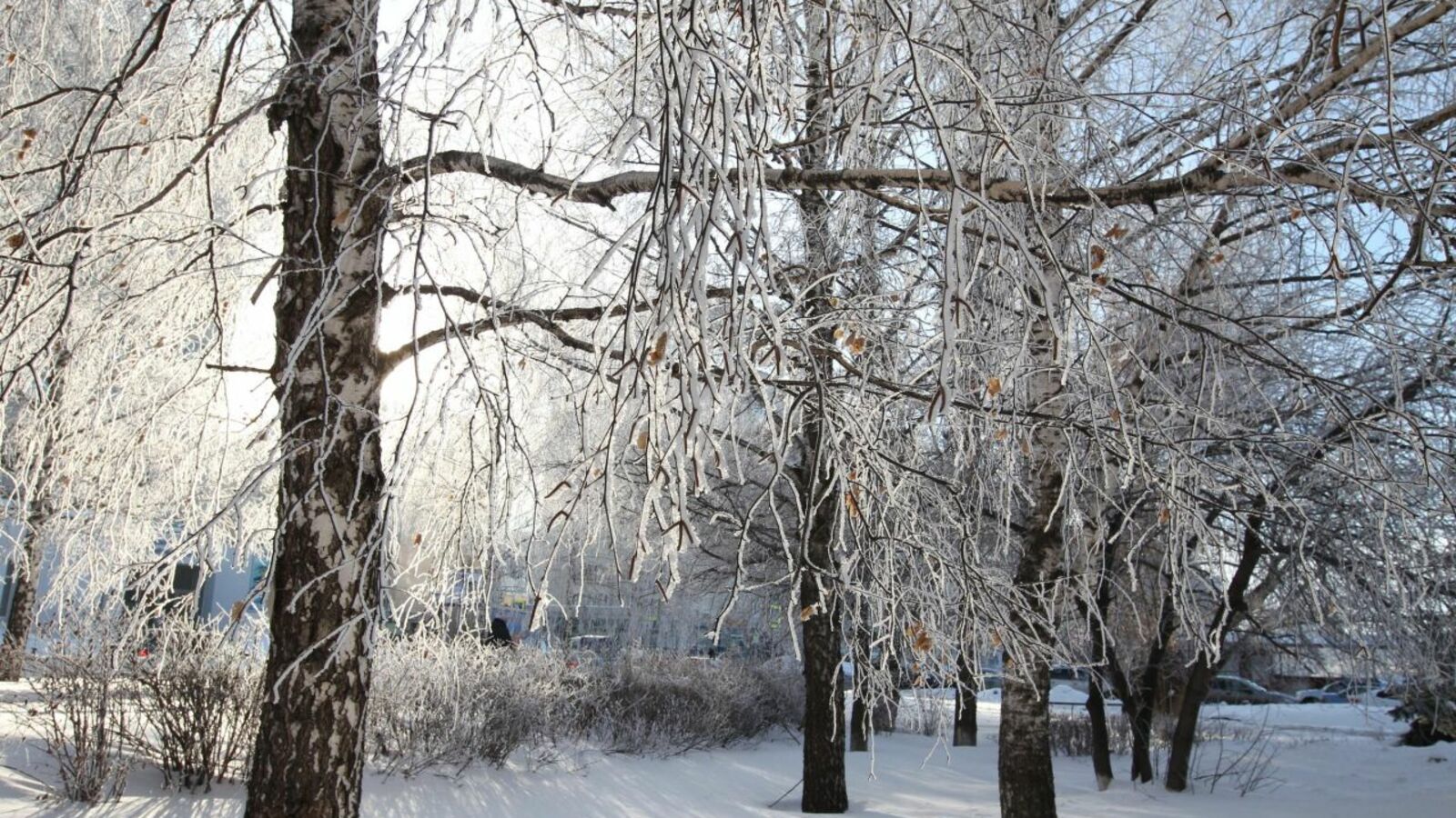 Олег Яровиков