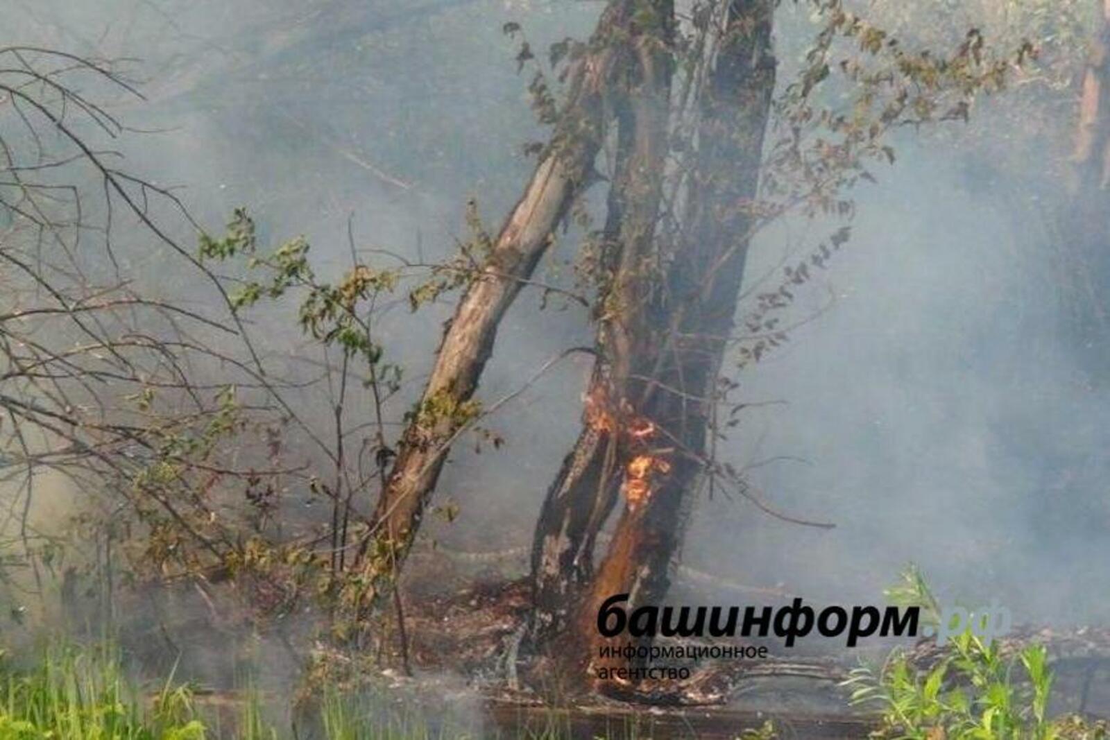 «Башинформ» мәғлүмәт агентлығы