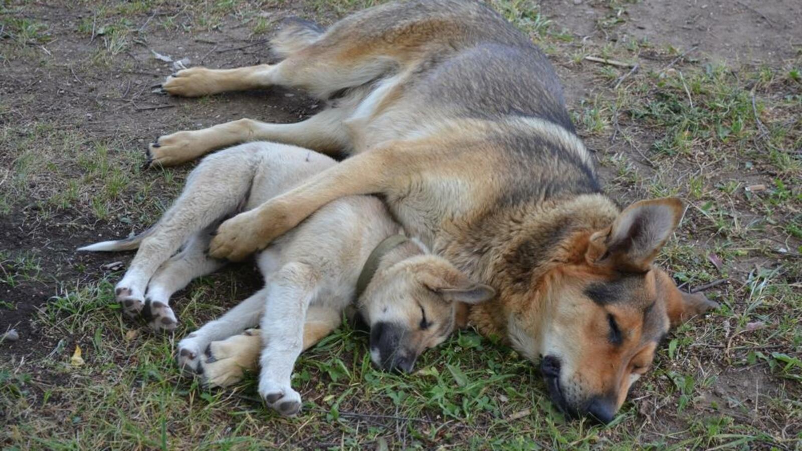 Ксения Калинина