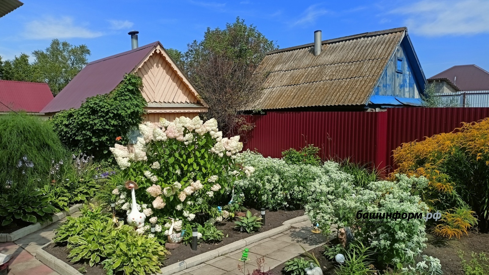 Валерий Шахов ИА «Башинформ»