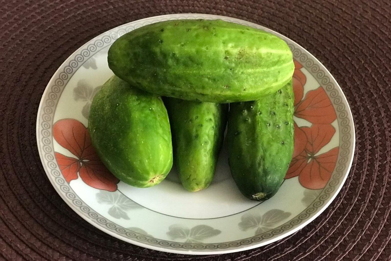 Ксения Калинина