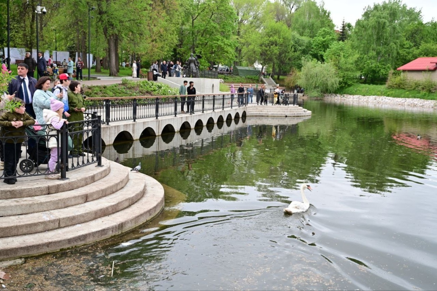 телеграм-канал &laquo;Подслушано в Башкирии&raquo; В сад Аксакова в Уфе вернулись лебеди