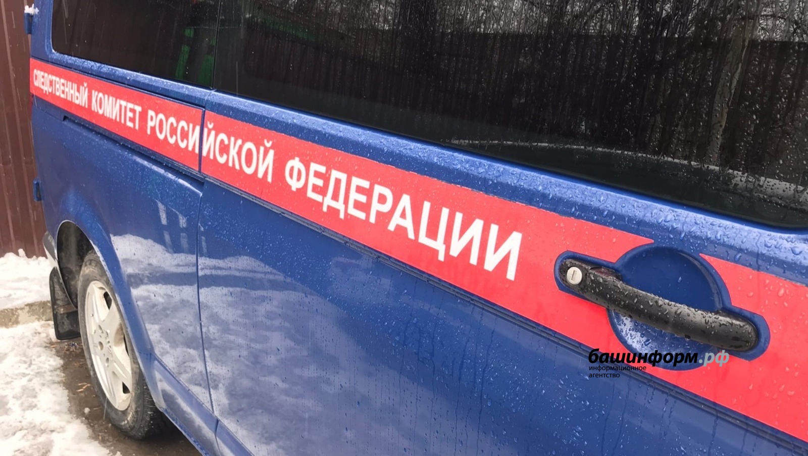 Ксения Калинина