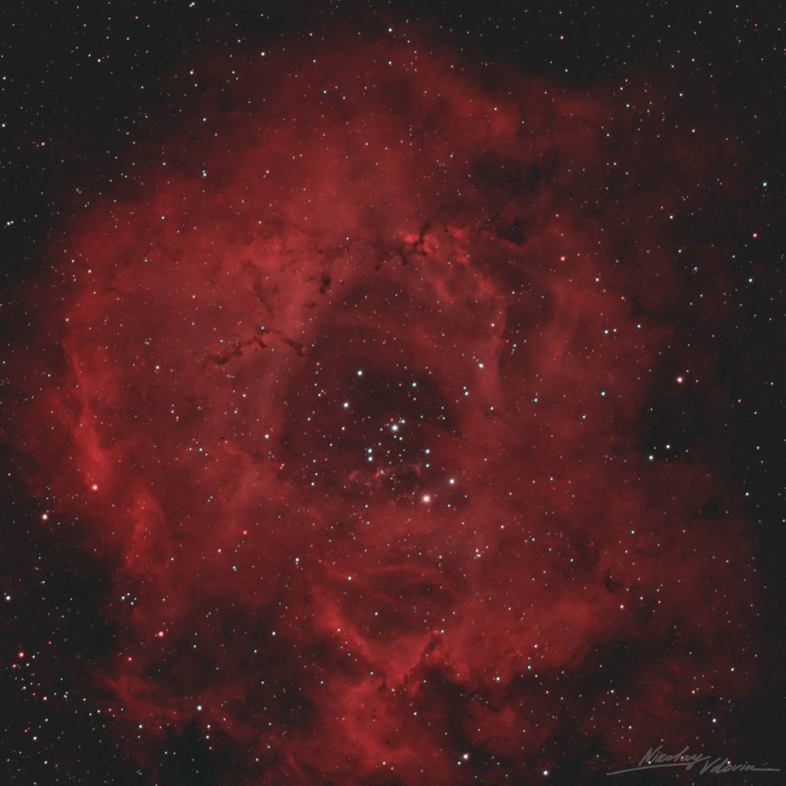 Николай Вдовин Роскосмос