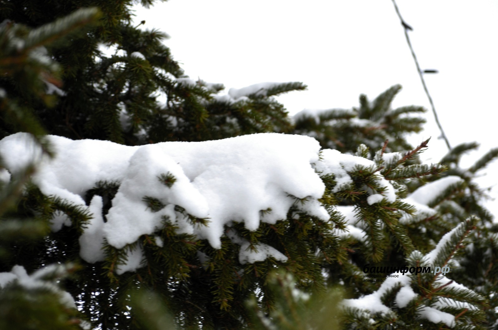 Ксения Калинина / «Башинформ» мәғлүмәт агентлығы