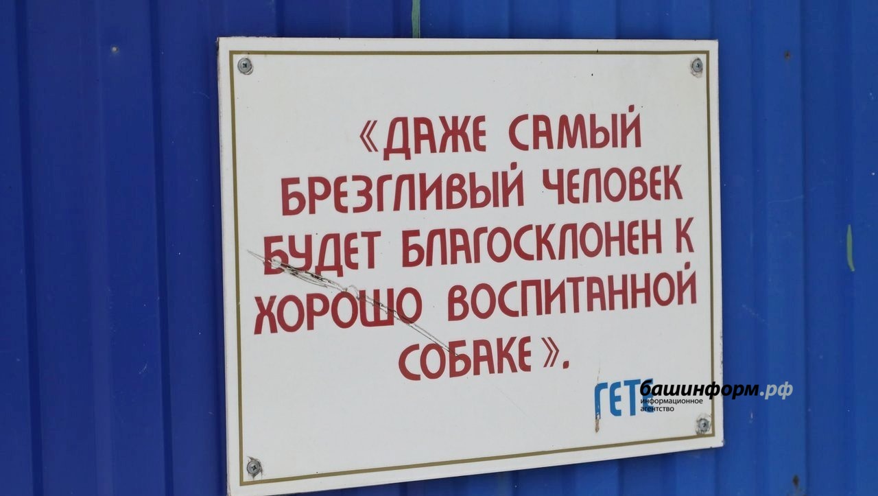 Валерий Шахов