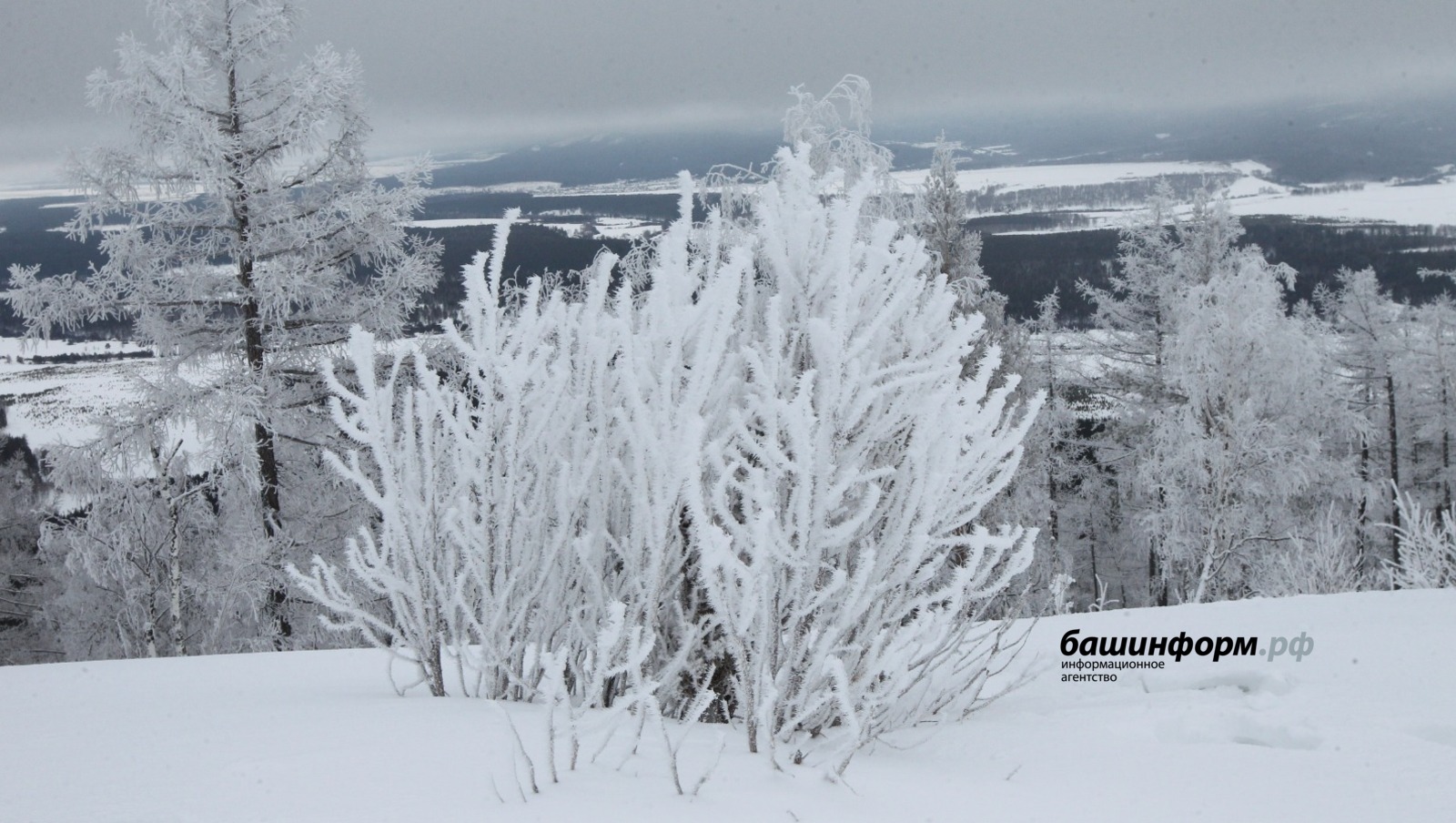 Олег Яровиков  ИА «Башинформ»
