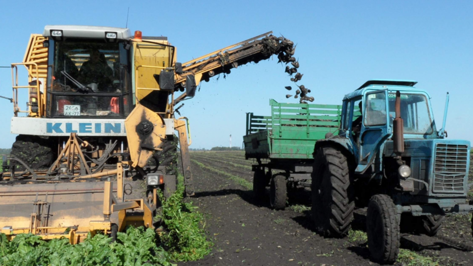 пресс-служба Минсельхоза Башкирии