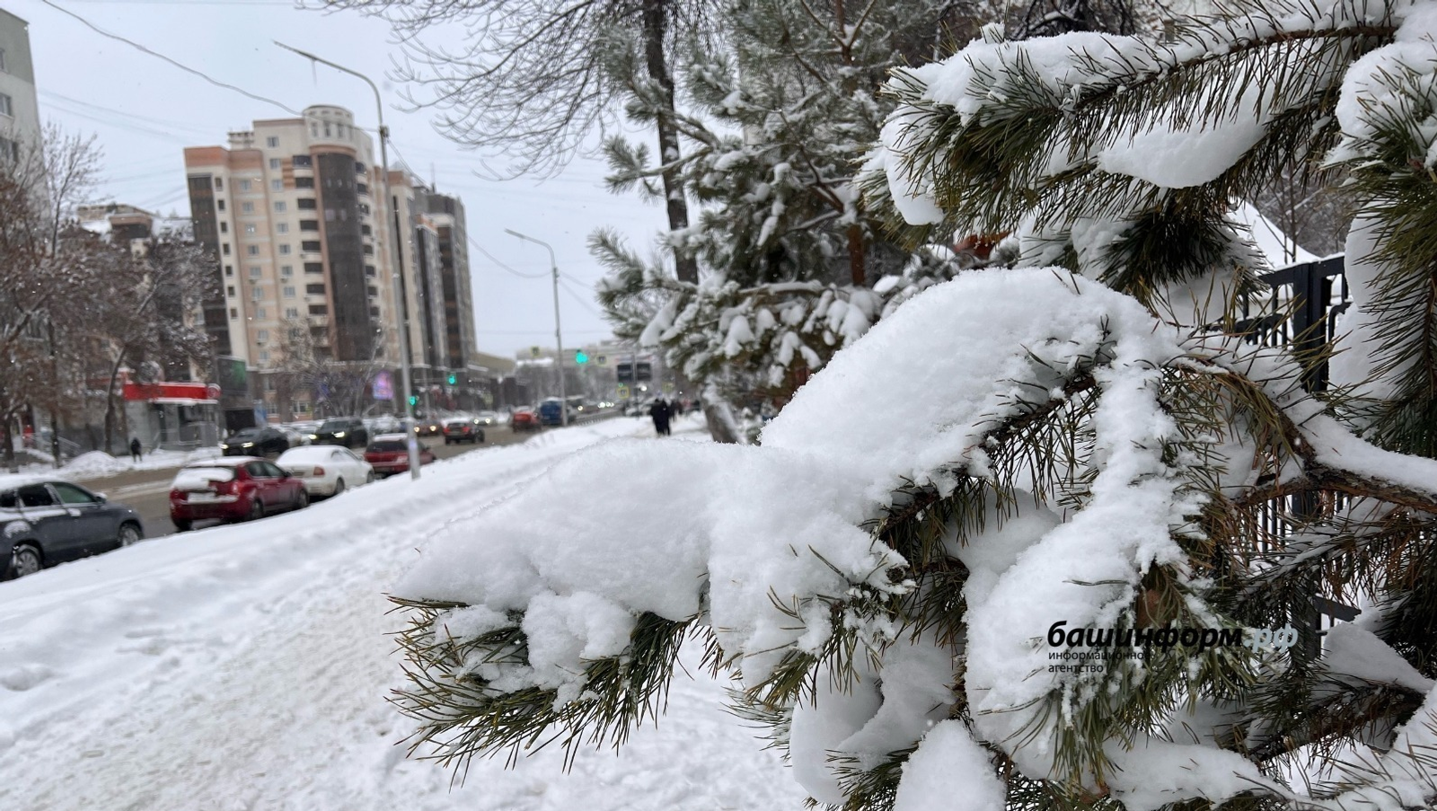 Ксения Калинина / «Башинформ» мәғлүмәт агентлығы архивы