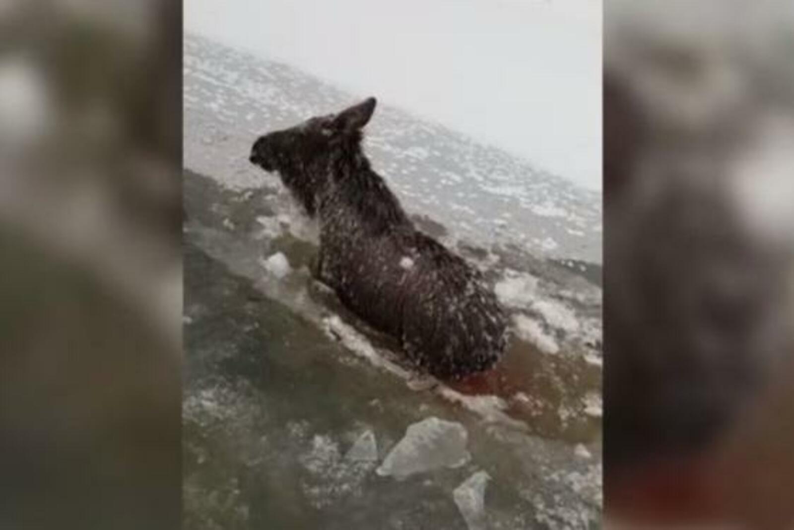 скриншот видео ГТРК Башкортостан
