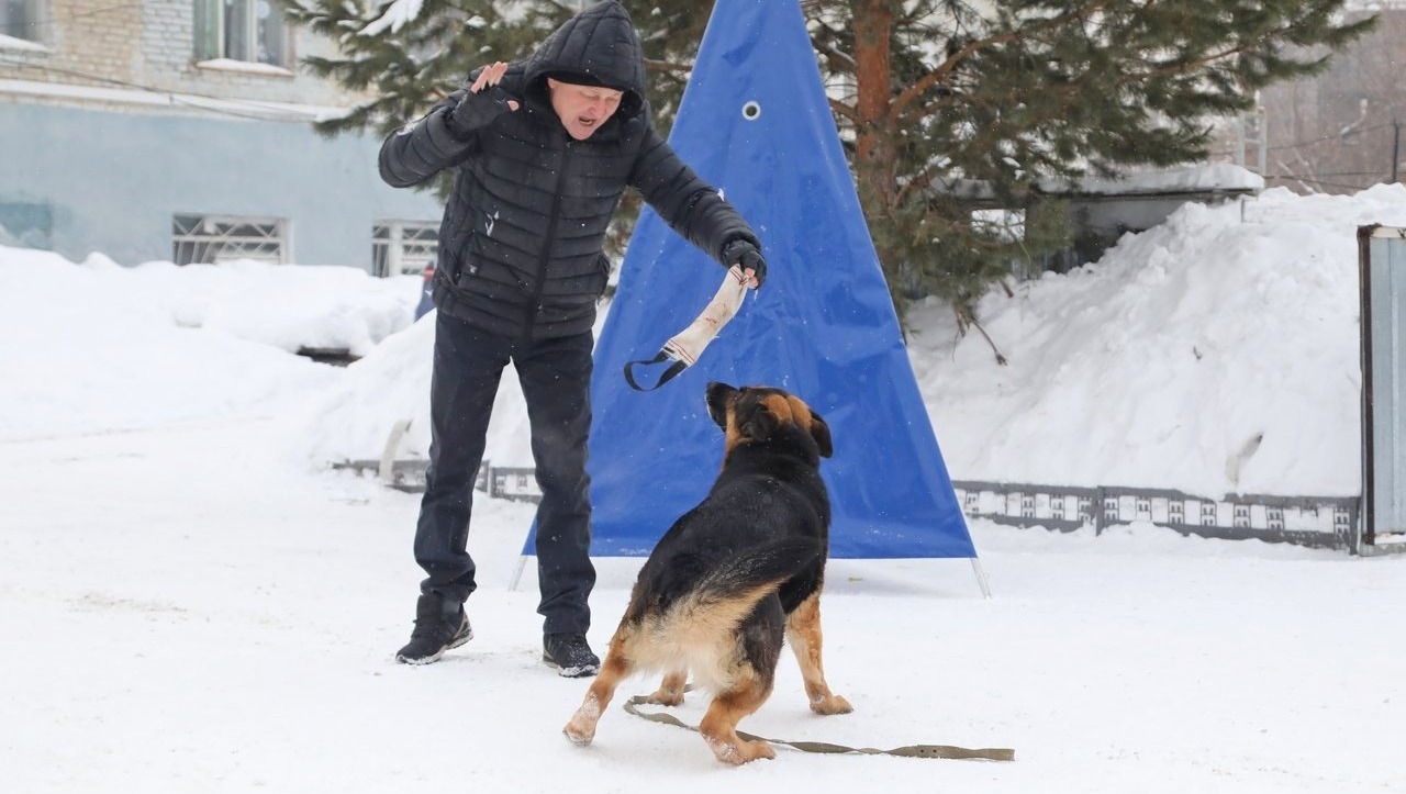 Валерий Шахов