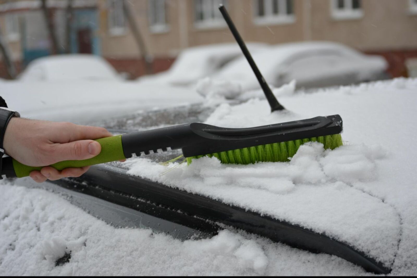 автор