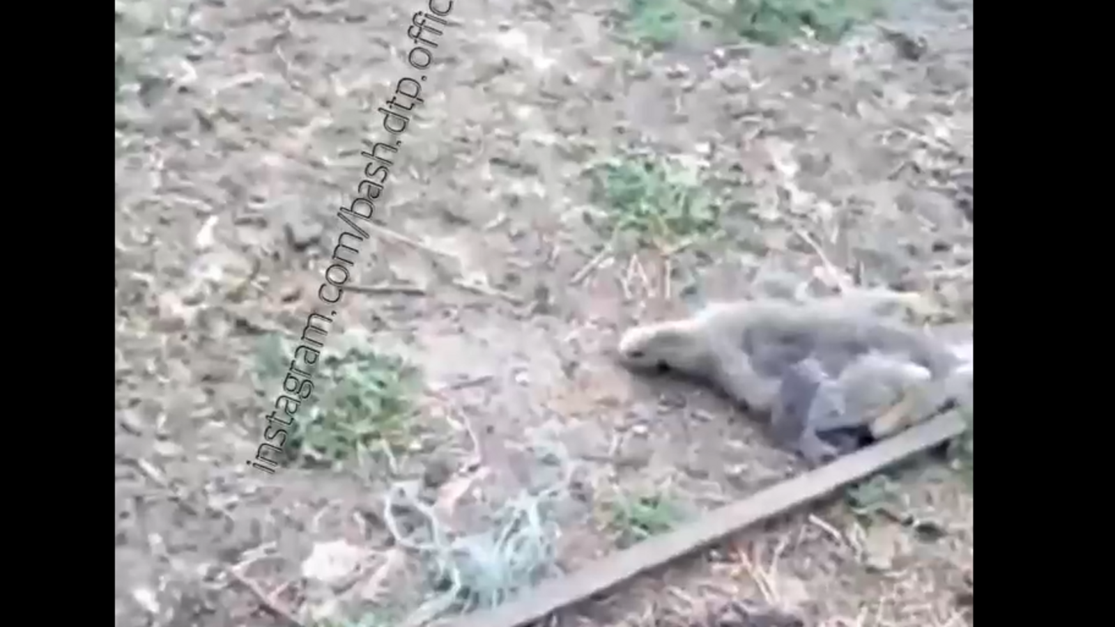 Стоп-кадр БашДТП