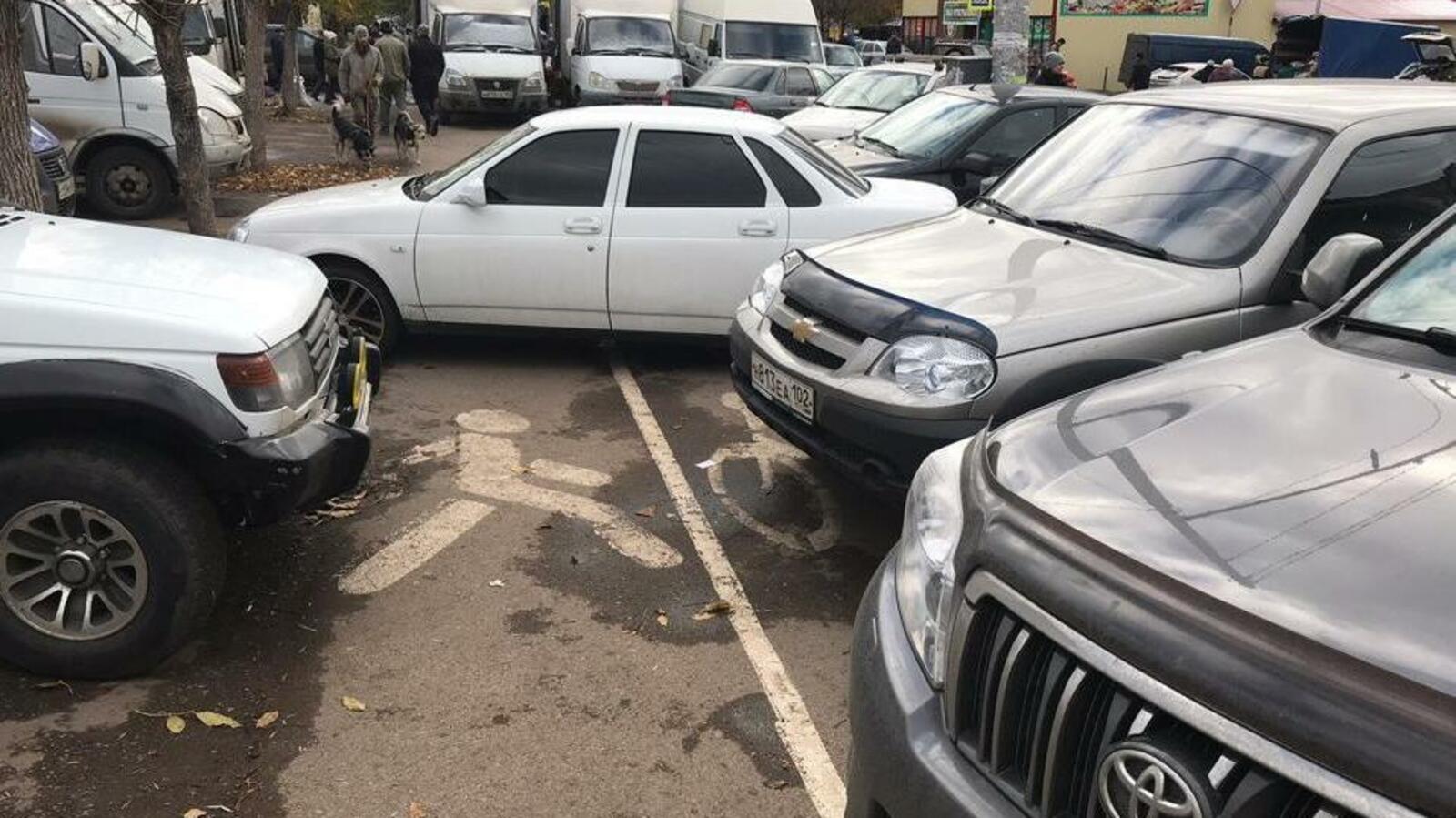 Ксения Калинина