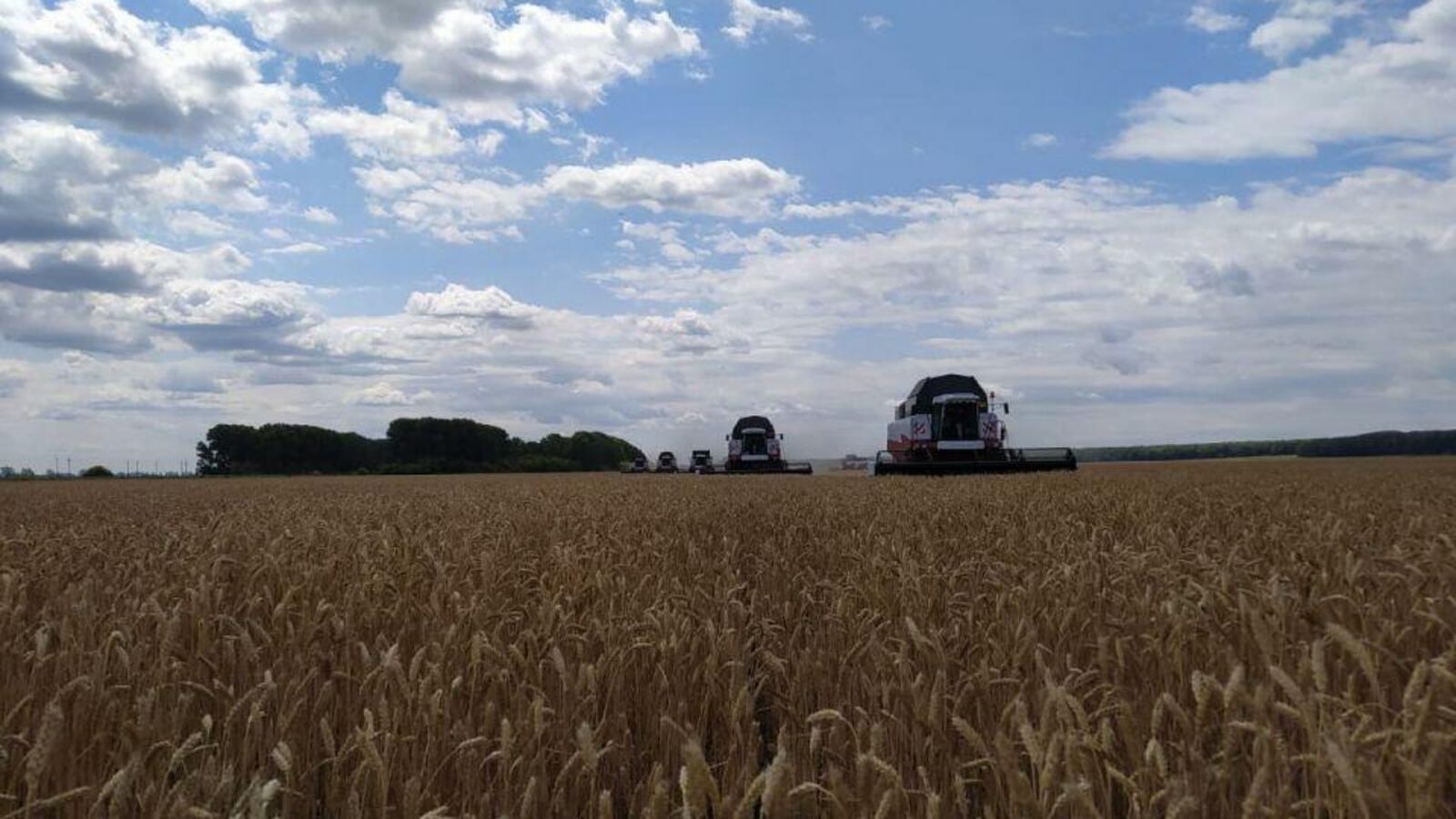 Минсельхоз РБ