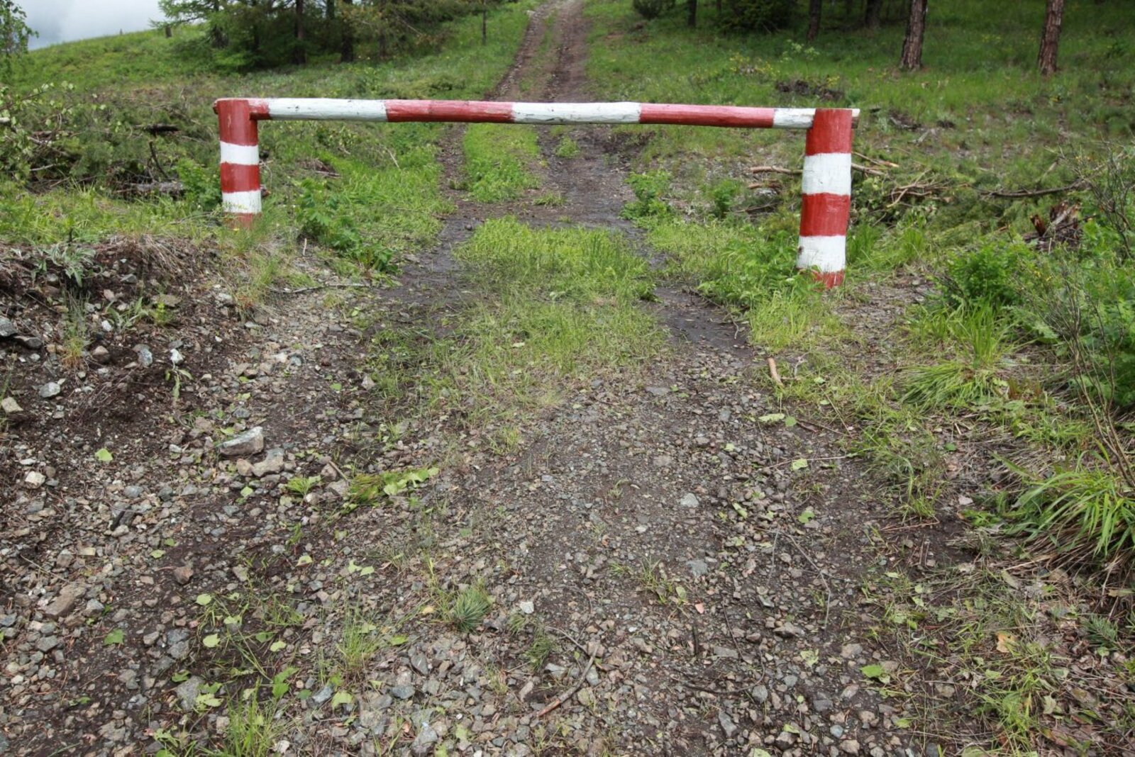 Олег Яровиков