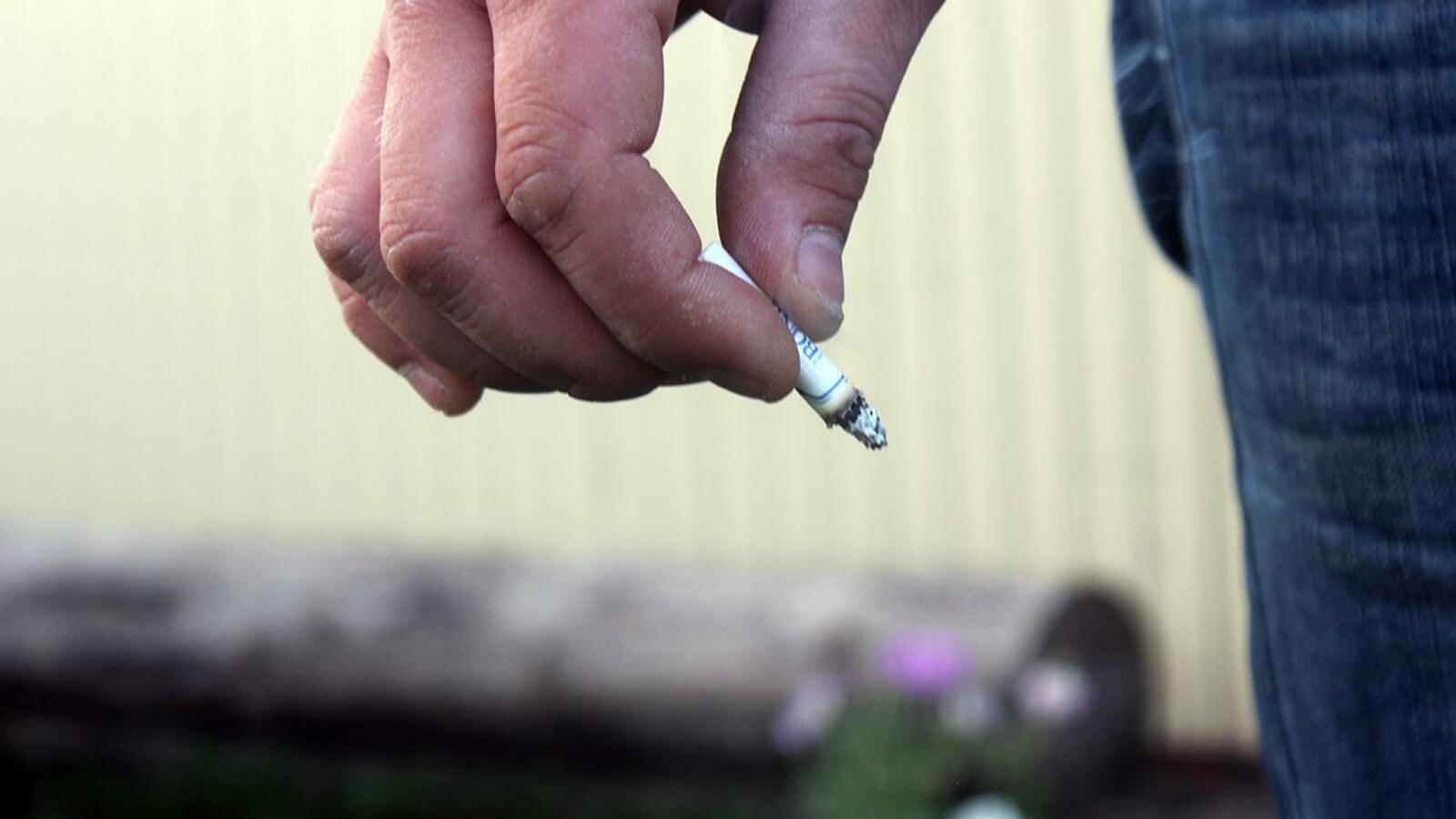 Карина Камаева