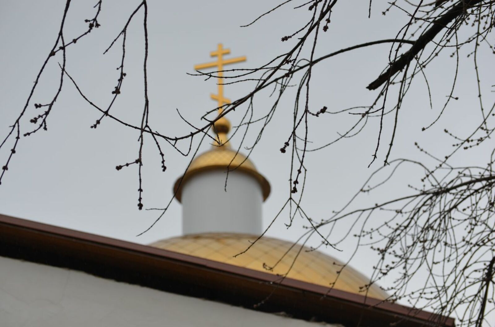 автора