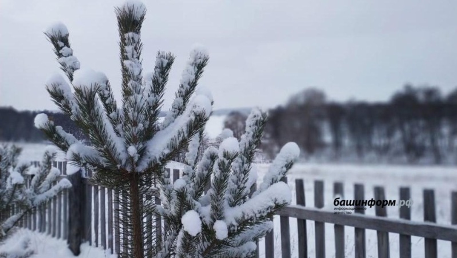 архив ИА Башинформ