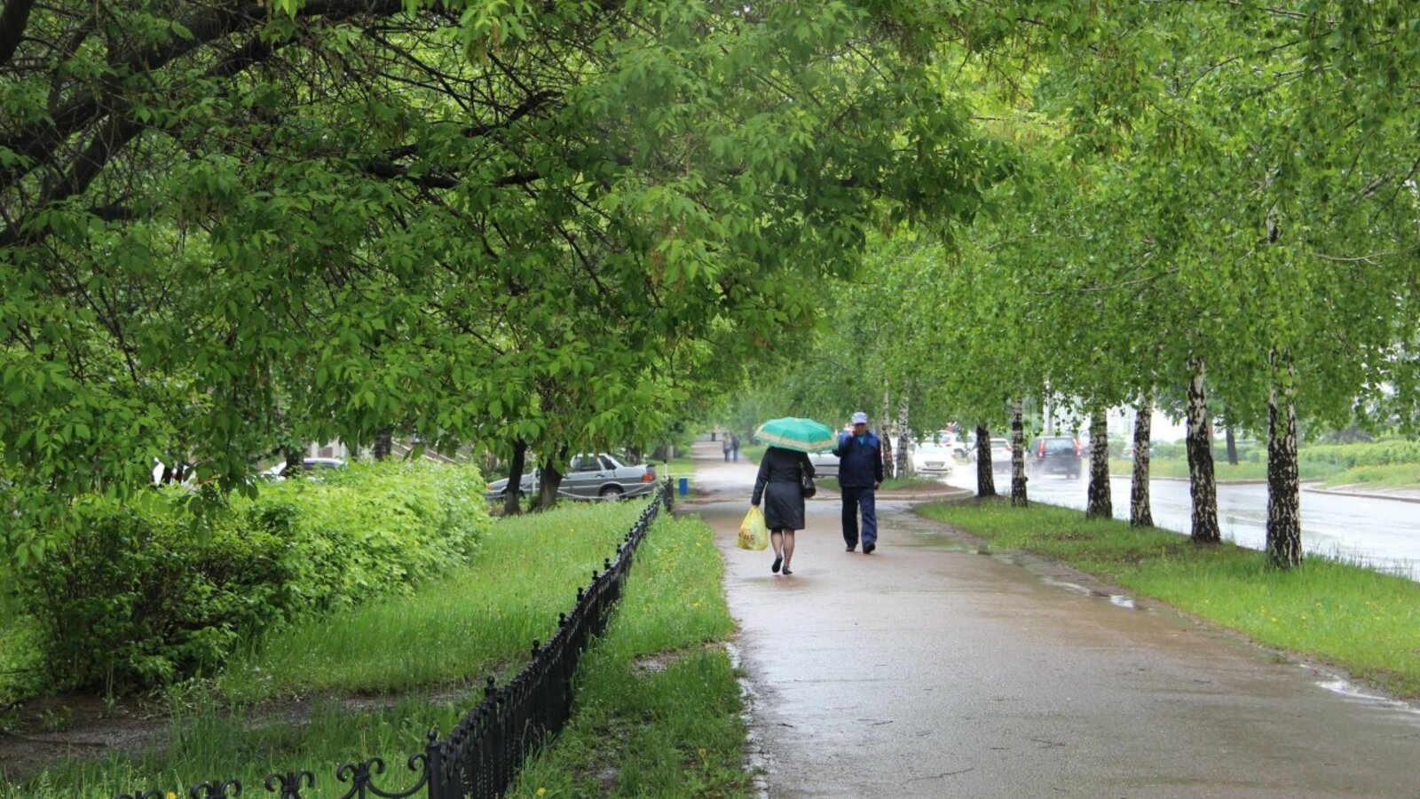 Ксения Калинина