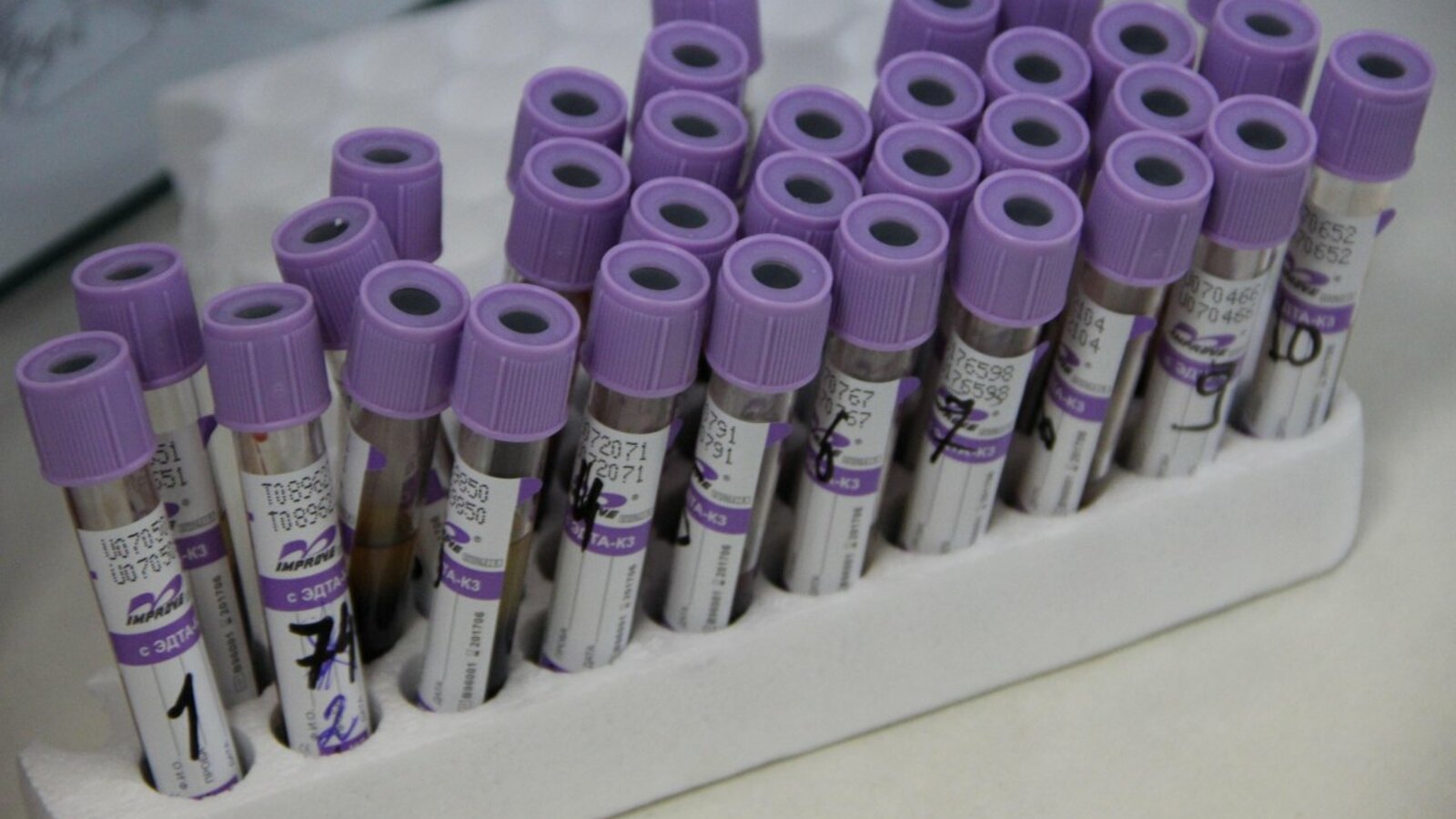 Ксения Калинина