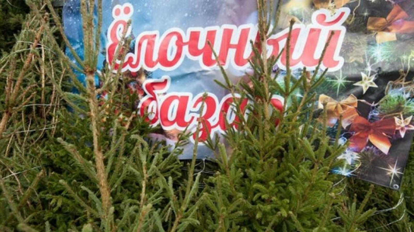 администрация Уфы