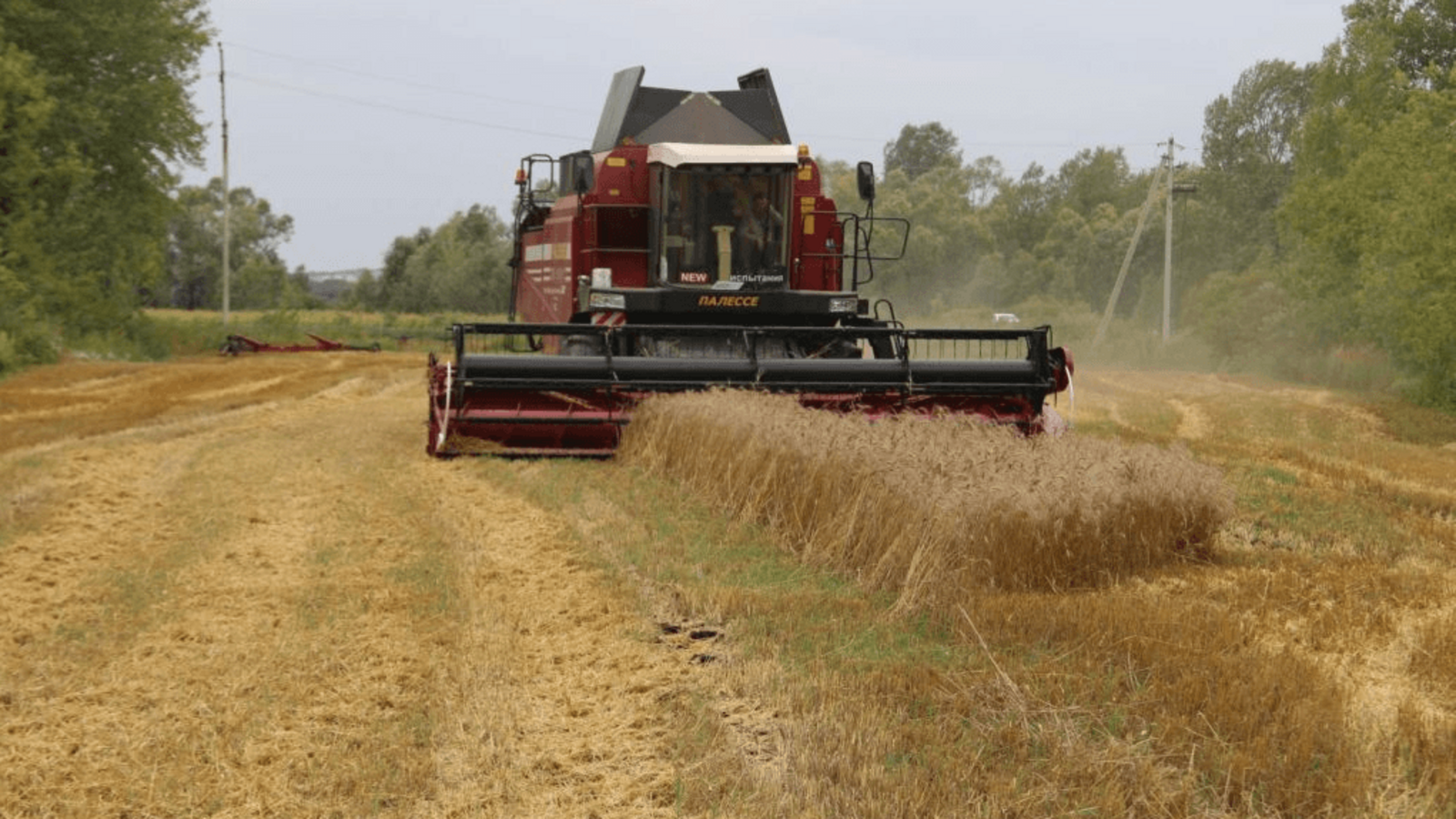 пресс-служба Минсельхоза Башкирии