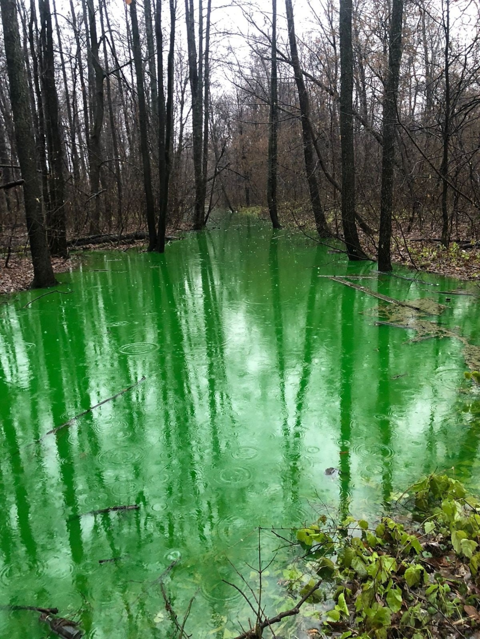 минэкологии РБ