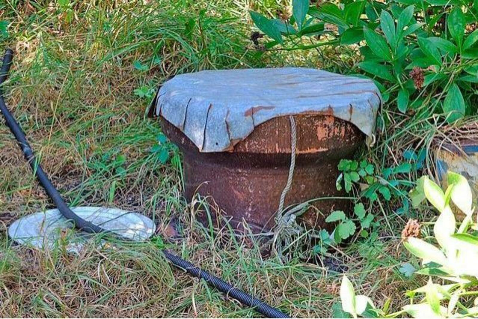 1dacha-sad.com