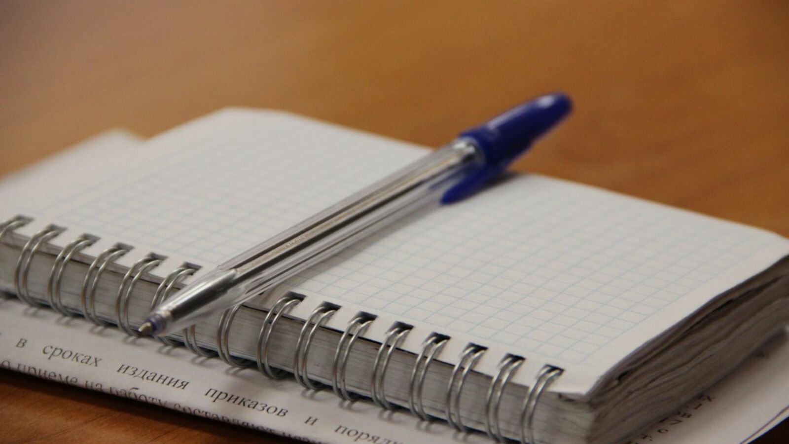 Ксения Калинина