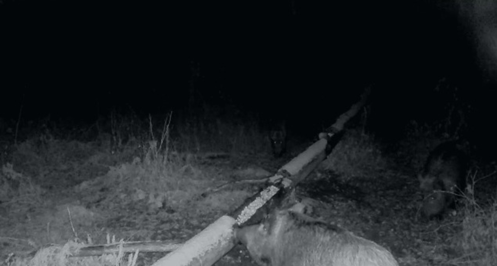 скриншот видео пресс-служба минэкологии РБ